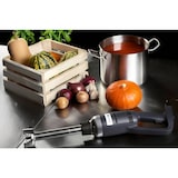 thumbnail of Royal Catering Varinha mágica - 18 000 RPM - 350 W - 300 mm