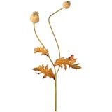 thumbnail of CREATIV green künstliche Pflanze Mohnzweig, 74cm, natur, 12er Set