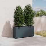 thumbnail of Herstera Garden Plantenbak Cube 30 M - 100x30x50 cm - Antraciet