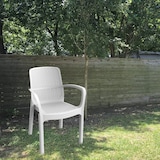 thumbnail of Poltrona Numana Bianca