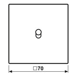 thumbnail of Jung Abdeckung mit Kipphebel ES 12-0 K 1 ES12-0K1