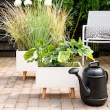 thumbnail of Gießkanne Brausekopf Garten Balkon Garten 12l Schwarz- Kunststoff - Großes Gießgefäß mit Brause - Spritzkanne - Gartengießkanne - Watering Can Outdoor