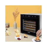 thumbnail of Desidratador de alimentos Dsy900 H.koenig 6 bandejas de secagem removíveis 650w