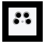 thumbnail of Busch-Jaeger Zentralscheibe 1743/10-04-44G 2CKA001724A4440