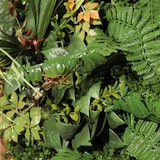 thumbnail of CUADRO VEGETAL ARTIFICIAL Naturing Monde NATACHA - 33 x 33 cm