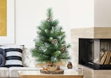 Un piccolo albero di Natale con pigne e neve.