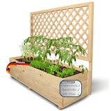 thumbnail of Pflanzkasten mit Rankgitter THIO Inkl. Vlies & Handschuhe, Hochbeet mit Rankhilfe Blumenkasten für Kletterpflanzen hängende Körbe, 128cm Breit