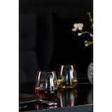 thumbnail of Royal Leerdam Waterglazen Experts Collection 45 cl