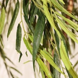 thumbnail of Planta artificial Sauce llorón 180cm - Naturing Monde - Interior