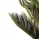 thumbnail of Piante artificiali Naturing Monde Cyca 105cm