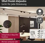 thumbnail of Paulmann URail Pendel 3-Step-Dim Alejandro  800lm 10W 4000K dimmbar 230V Schwarz matt 94970
