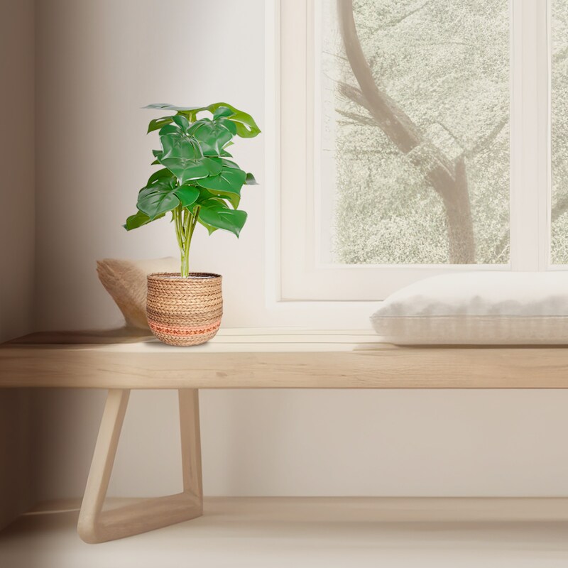mobile_image