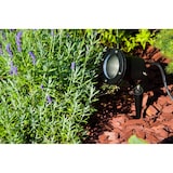 thumbnail of Außenleuchte Gartenstrahler mit Erdspieß HORTUS BLACK IP65 GU10 schwarz EDO777112 EDO