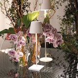 thumbnail of Poldina Pro Bianca oplaadbare en dimbare LED-tafellamp met batterijduur tot 12 uur. Voor extern gebruik IP65