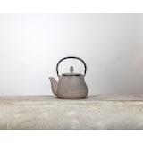 thumbnail of Novastyl - Theiere Sencha 1l En Fonte Grise