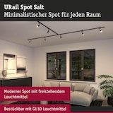 thumbnail of Paulmann URail Schienenspot Salt Einzelspot  GU10  max. 10W  dimmbar 230V Schwarz matt 95636