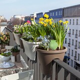 thumbnail of Relaxdays Tonspitzen Bewässerung, 6er Set, Wasserspender für Zimmerpflanzen & Balkonkästen, Gießkegel, terrakotta/grün