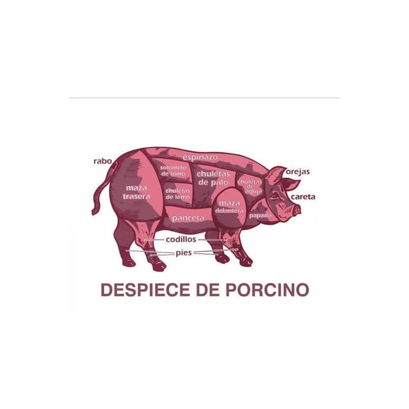 Cartel Despiece Porcino