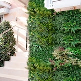 thumbnail of Rolo Jardim Vertical Grazing 100 X 100 Cm