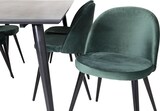 thumbnail of Dipp180x90BLBL Essgruppe Esstisch schwarz und 6 Velvet Esszimmerstühle Velour grün, schwarz.