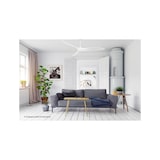 thumbnail of Eco Airscew 152, Ventilatore bianco senza Luce, CasaFan