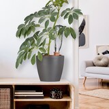 thumbnail of Relaxdays Tonspitzen Bewässerung, 4er Set, für Wein- & PET-Flaschen, Balkonkästen & Topfpflanzen, Gießkegel, terrakotta