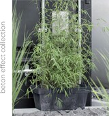 thumbnail of Prosperplast - CUBE BETON EFFECT 1,2-Liter-Topf – 14 x 14 x 12,4 cm in Betongrau farbe