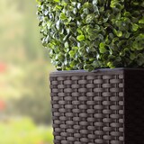 thumbnail of Blumenkübel Polyrattan Rattan 26,6l mit Innenkasten Wetterfest