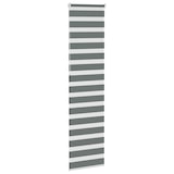 thumbnail of vidaXL Doppelrollo Dunkelgrau 55x230 cm Stoffbreite 50,9 cm Polyester