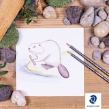 thumbnail of STAEDTLER - Caja de Cartón con 24 Lápices de Colores Surtidos