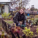 thumbnail of Blumenzwiebel-Pflanzschale 22cm rund im 3er Set 22