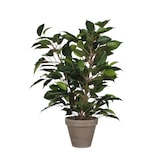 thumbnail of Ficus Natasja Planta Artificial en maceta Stan 40 x 30 cm Verde