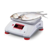 thumbnail of Bilancia per alimenti ad alte prestazioni Valor 2000 - 15kg/2g