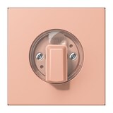 thumbnail of Jung Abdeckung für Drehschalter LC 1941 231 LC1941231