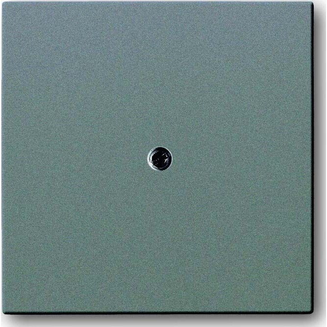 Busch-Jaeger Zentralscheibe meteor-gr 1745-803 2CKA001710A3855