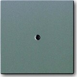 thumbnail of Busch-Jaeger Zentralscheibe meteor-gr 1745-803 2CKA001710A3855