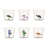 thumbnail of Ichendorf – 6er-Set Trinkgläser: NEW MARINE GARDEN – Entworfen von Alessandra Baldereschi