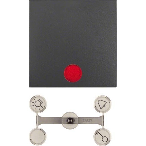 Berker Wippe anth matt 16211606