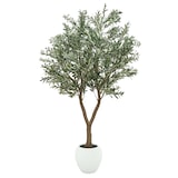 thumbnail of LIGNE DECO Olivier artificiel pot blanc 240cm