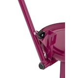 thumbnail of Wiesenfield - Fruitpers - RVS - 14 l - incl. 1 persdoek -