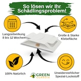 thumbnail of Spinnen Falle mit Spezial-Lockstoff: 15