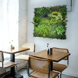 thumbnail of Bonerva | Jardín Vertical Artificial Costa Rica | Reacción al fuego clase "B" | Pieza 100x100cm (1m²) | Planta artificial para HORECA | MAL1221