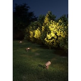 thumbnail of Sair - Refletor LED redondo 10W IP65 Corten 3000K - Luz de jardim para plantas ou sebes h36cm - Beneito faure