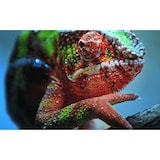 thumbnail of Epson EH-TW7100 4K Beamer mit Plug-and-Play, Lens-Shift und optischem Zoom für das Heimkino