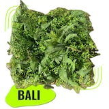 thumbnail of BALI | Premium künstliche Dschungelwände  Wandpaneele | Kunstpflanzen Wandmontage Regenwald |Hotel Gastronomie Friseur Wandverkleidung drinnen draußen