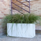 thumbnail of WellHome - Jardinera "Colección rodr-i" 80x40cm Color cemento