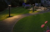 Allée de jardin illuminée avec des lanternes et des fleurs.