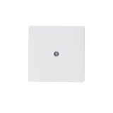 thumbnail of Berker Zentralstück 10196089