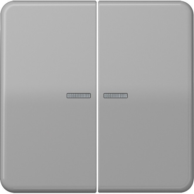 Jung Wippe Lichtleiter gr CD 595 KO5BF GR CD595KO5BFGR