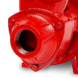 thumbnail of EBERTH Wasserpumpe 1", 750W, 8m Ansaughöhe, 50m Förderhöhe, 2400l/h, selbstansaugend, elektrisch 230V, für klares Wasser